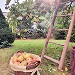 Tatil Evi Grosses Mit Garten Fuer Familie & Gruppen Bis 13 Personen Burgkunstadt