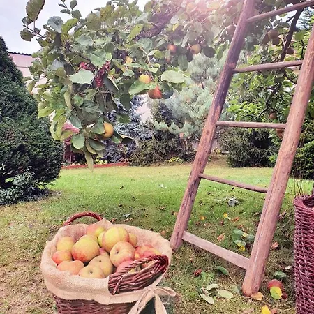 Σπίτι διακοπών Grosses Mit Garten Fuer Familie & Gruppen Bis 13 Personen Burgkunstadt